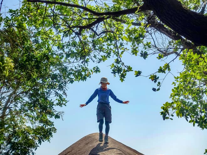 像の背で一番怖いのが戻ってくる時です (2)
