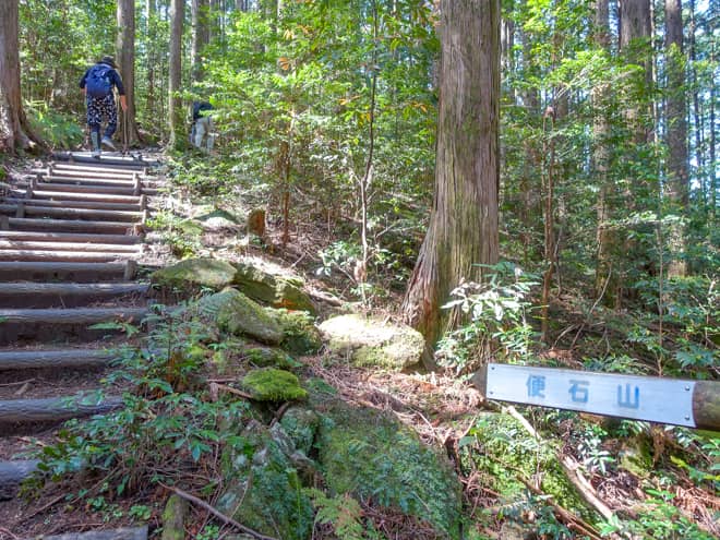 分岐から先も階段地獄であることは変わりなく