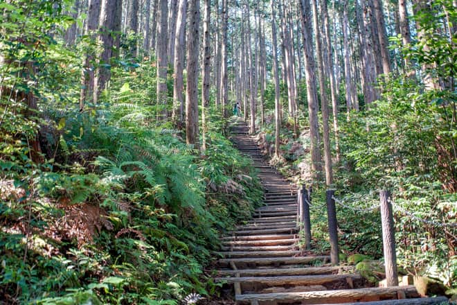 大変整備されている階段なので登り易くてありがたいのですが