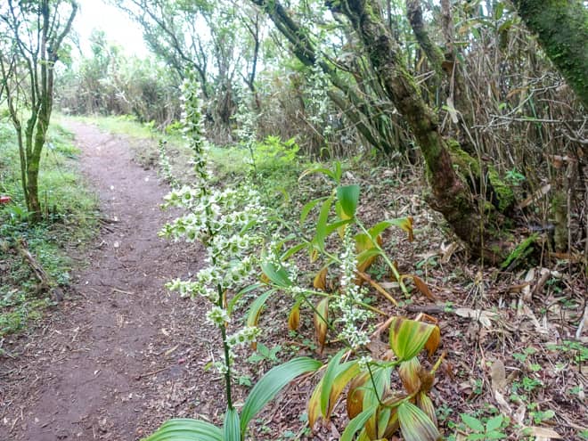 普段は見落としがちの新たな景色を発見できる