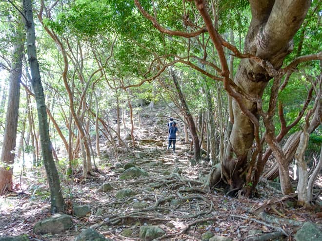登山装備は万全に!インスタ映え間違いなしの山