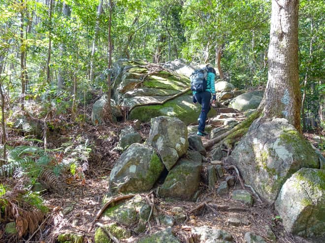 終盤は岩がむき出しの荒れた登山道が続きます