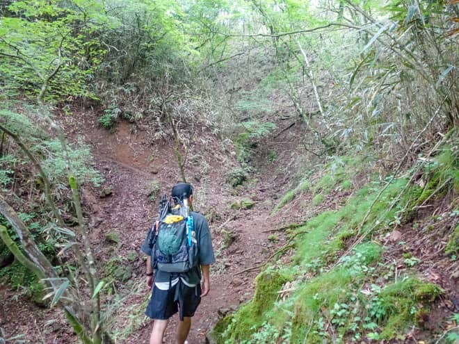 経験値が上がった気分になる