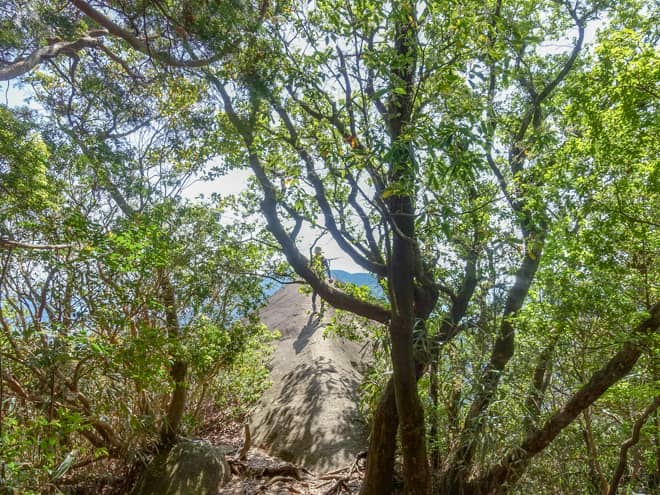 遂に象の背が見えてきました