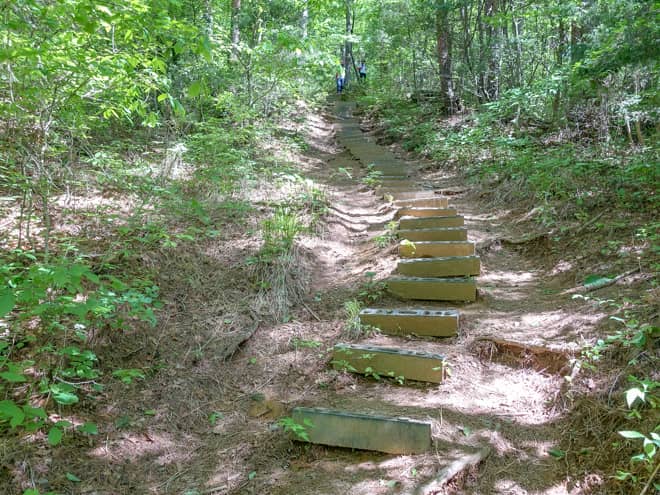 登山口からはいきなり急登で