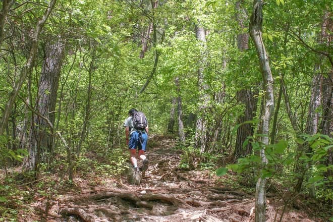 霧訪山に登ってみてわかったこと