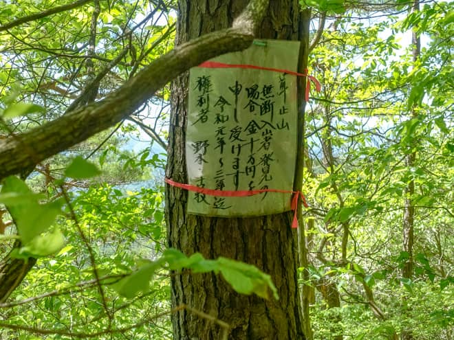 霧訪山は松茸の入札が行われる「茸止山」で