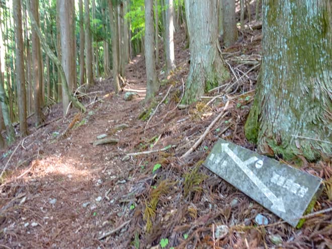 しかも、途中にチェックポイント