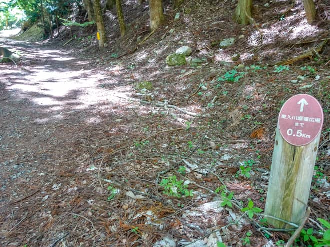 どちらのコースもピストン(往復)