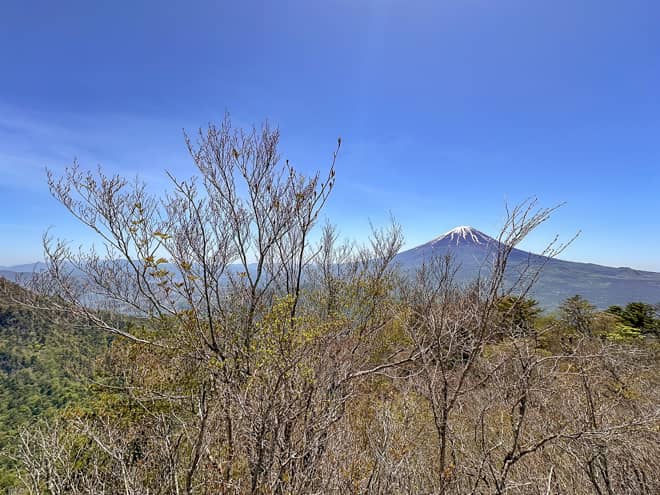 雪頭ヶ岳(せっとうがたけ)