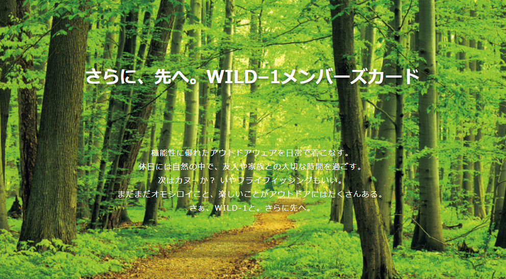 wild1202407 (koushiki) 