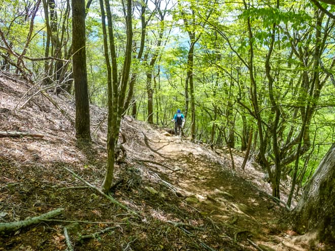 中盤はつづら折りの樹林帯歩きが延々と