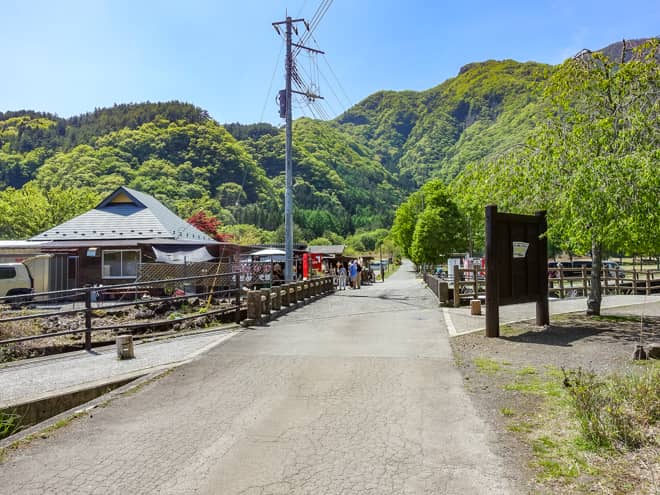 登山口から林道を500メートル程歩くと