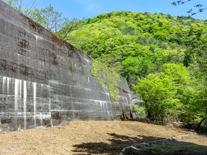 登山口が近づくにつれ緩やかな道になり (2)