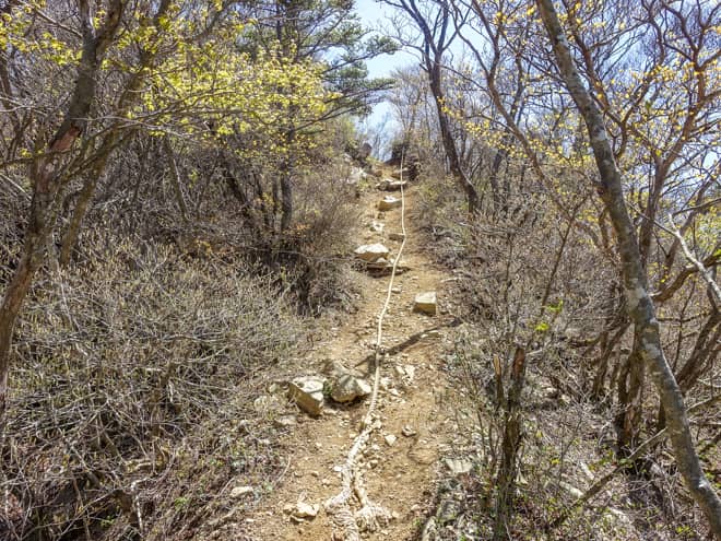 鬼ヶ岳山頂手前では一気に標高を稼ぐので