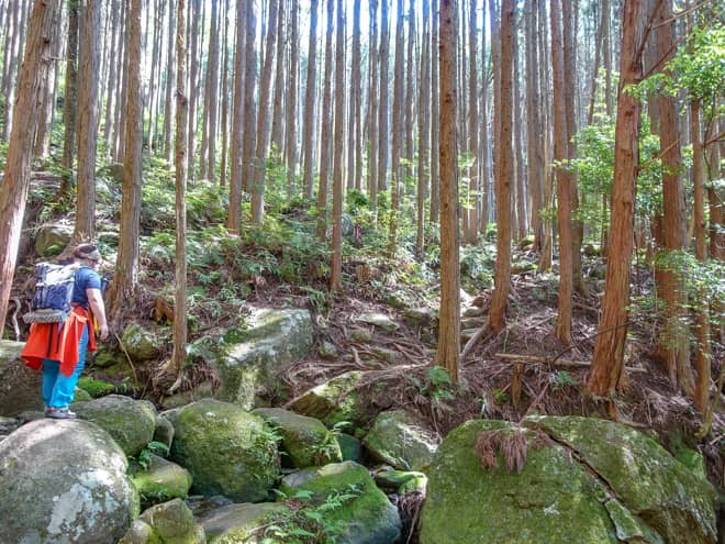 この区間は急こう配の道のりが続き