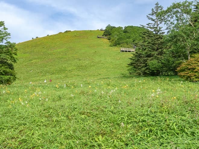 しかし、反対側の小丸山の方向を見上げると