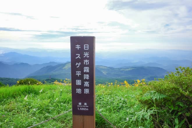 ニッコウキスゲの見頃は6月中旬～7月まで。出来れば早朝を狙いたい！