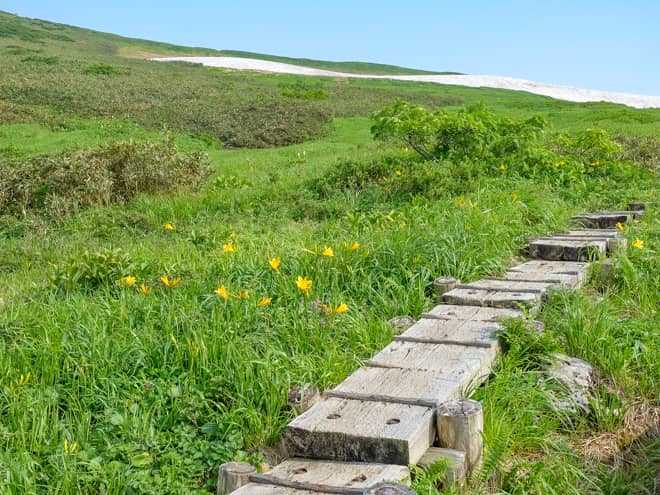 この区間は月山登山の中で最も天国ロードです