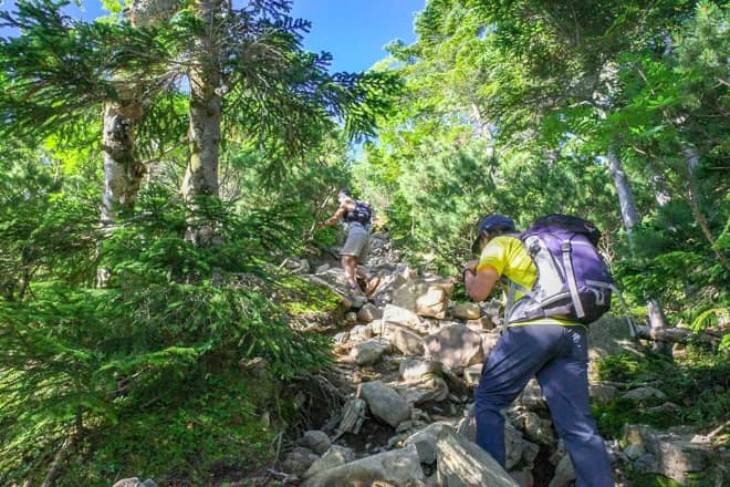 5.健脚でないと7時間で下山は厳しい