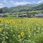 旅行シーズンに要チェック！新たに追加された茨城・富山・山梨のRVパークが絶景を楽しめる良立地