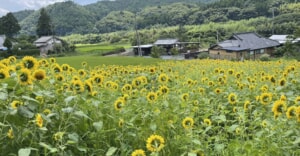 旅行シーズンに要チェック！新たに追加された茨城・富山・山梨のRVパークが絶景を楽しめる良立地