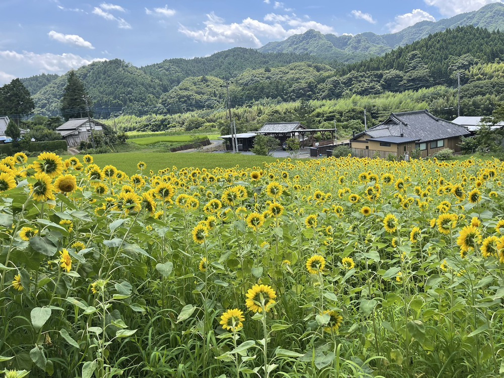 旅行シーズンに要チェック！新たに追加された茨城・富山・山梨のRVパークが絶景を楽しめる良立地