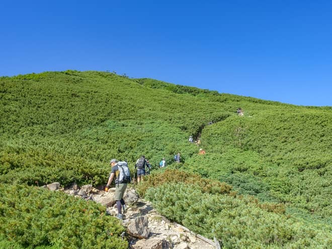 しかしながら、小仙丈ヶ岳山頂までの道のり