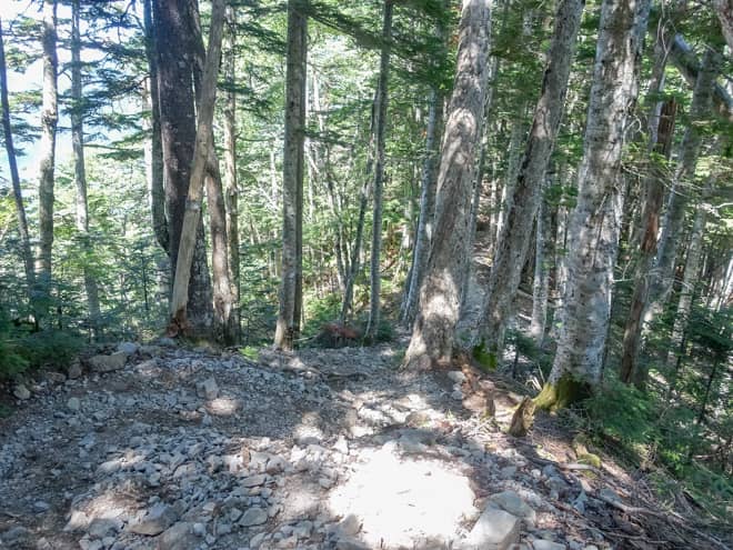 北沢峠登山口距離にして約1.8km