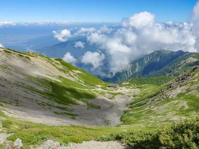 山頂以外も見どころだらけで、高山植物の宝庫