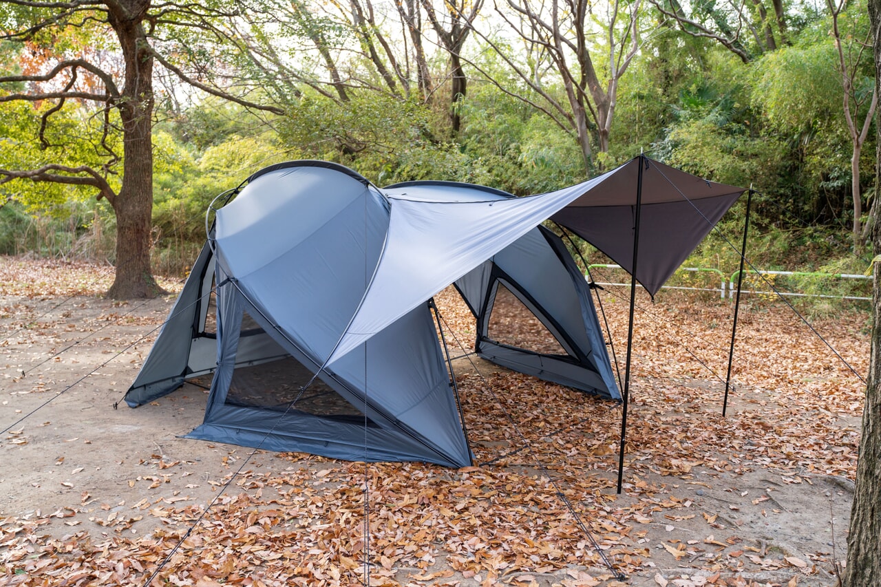 tc3tent202501 (2)