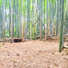 茨城県龍ヶ崎で竹林をまるごとレンタル 都心から80分で叶える自分だけの秘密基地生活