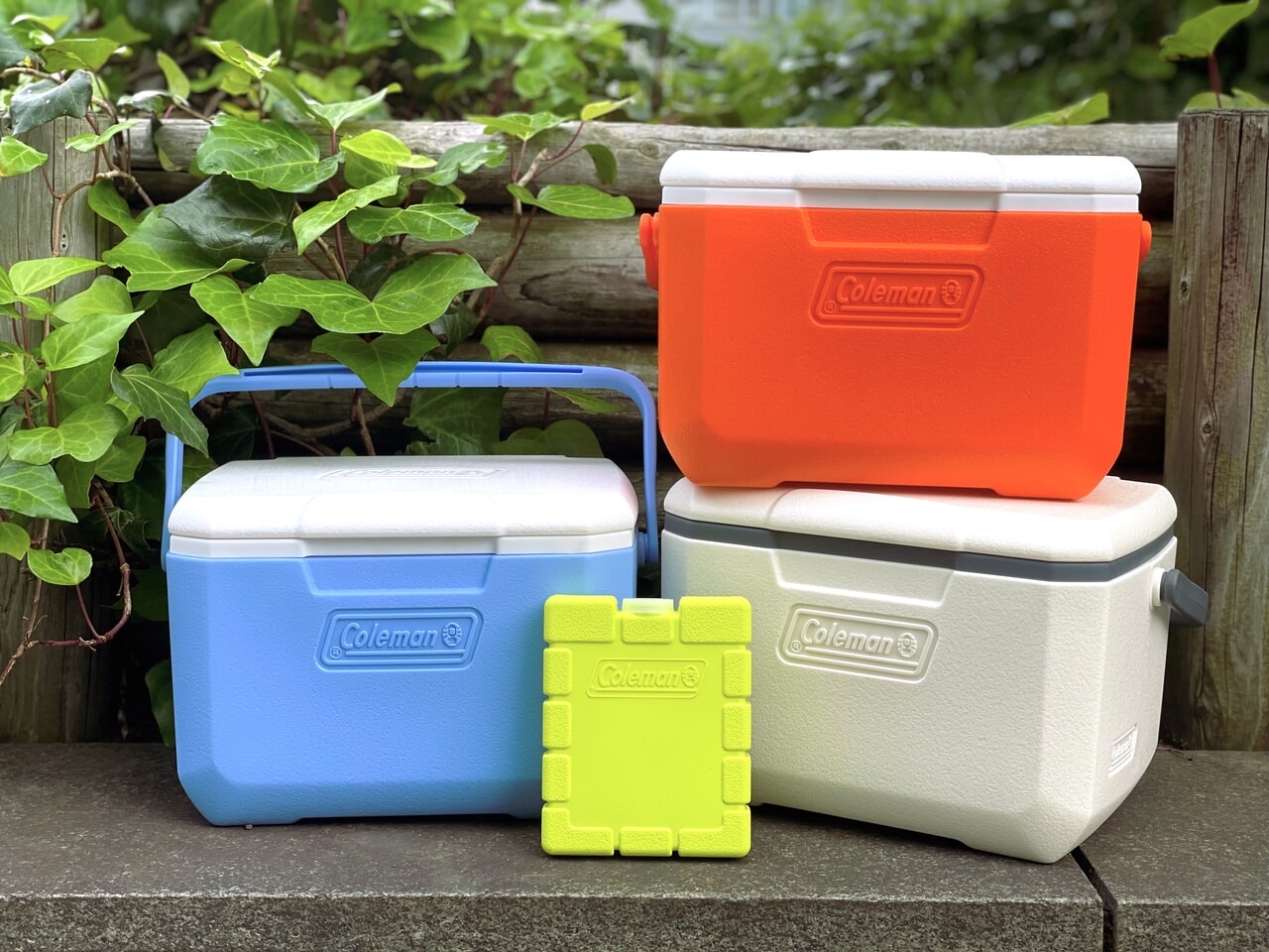 小さいのに売れてる！コールマン「テイク6」でしっかり保冷
