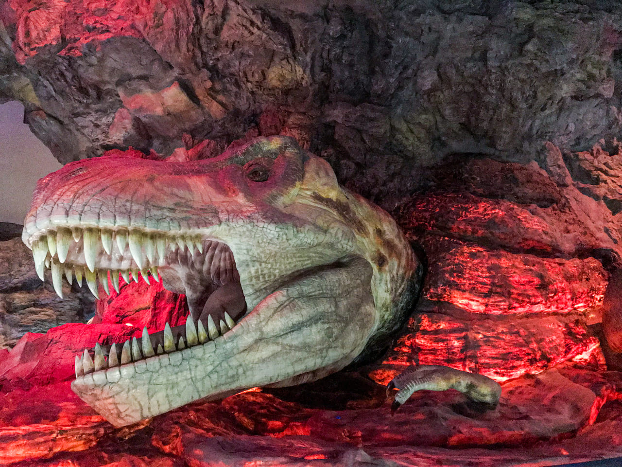 なぜか溶岩に飲み込まれているティラノサウルス