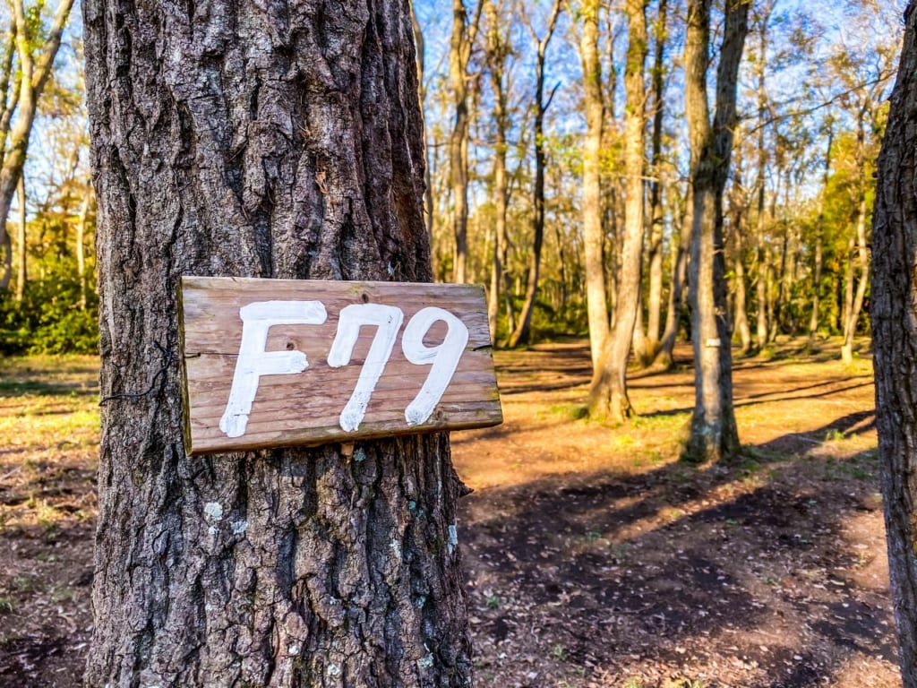フリーサイトの木に掛かっている番号付きの看板