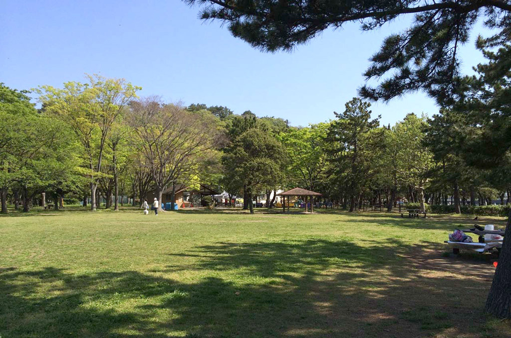 都内近郊で予約が取りやすい野島公園キャンプ場レビューと便利な裏技紹介