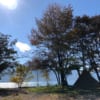栃木県奥日光「菖蒲ヶ浜キャンプ場」高原の湖と森・光に包まれて